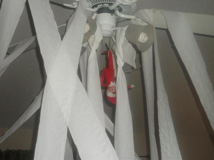 390570_2708762396850_869910115_n