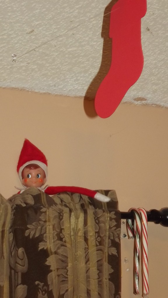 He hid candy canes all over the house!