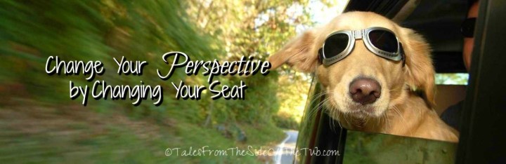 change-your-perspective